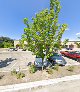 Your senior services transportation Area Agency On Aging in Meridian in Idaho